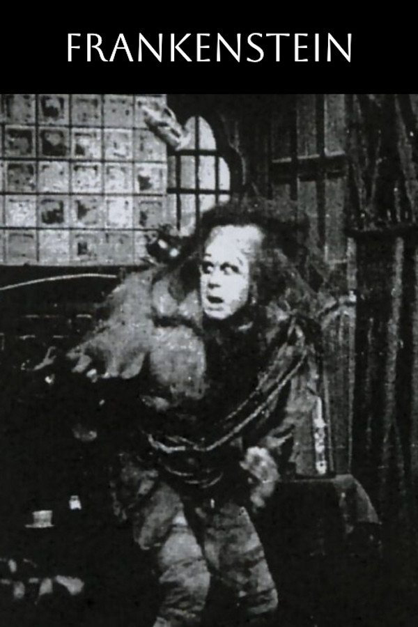 Frankenstein poster